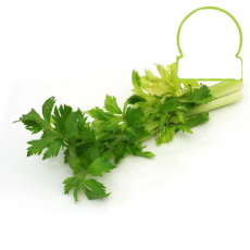 Celery - 500 Grams